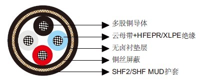 P5 or P5/P12 BFOU 0.6/1KV